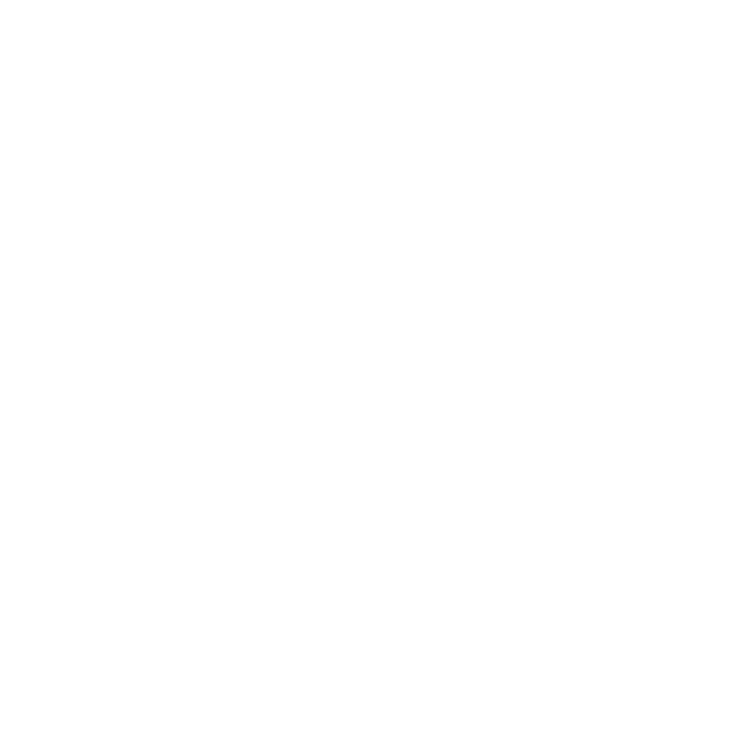 professional logo 2026 white scaled